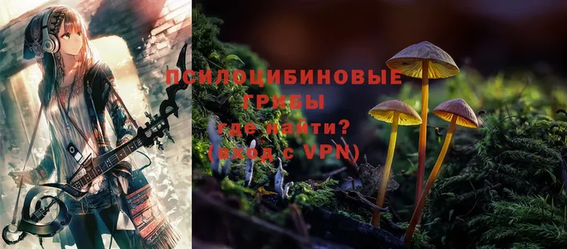 продажа наркотиков  Алушта  kraken ссылки  Псилоцибиновые грибы Cubensis 